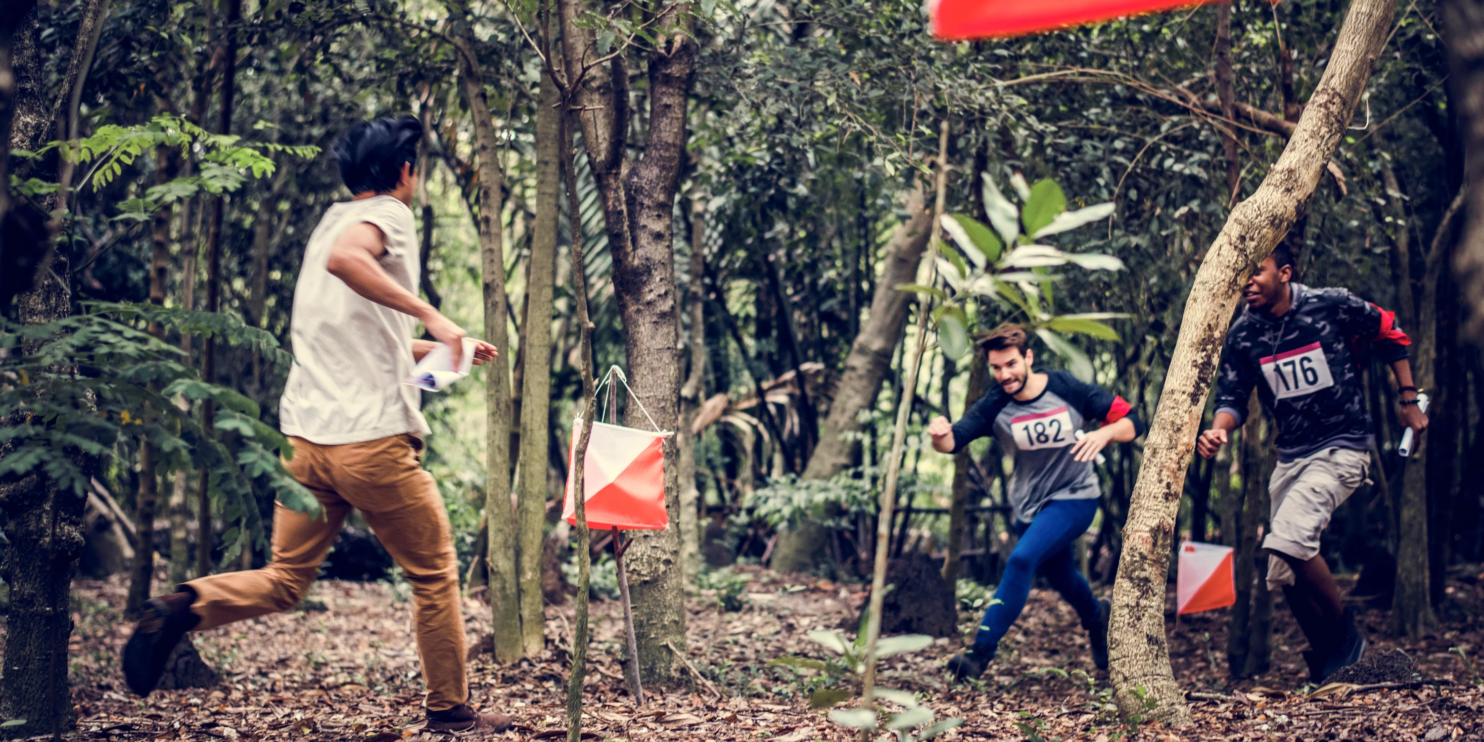 Animation outdoor dans un grand espace naturel