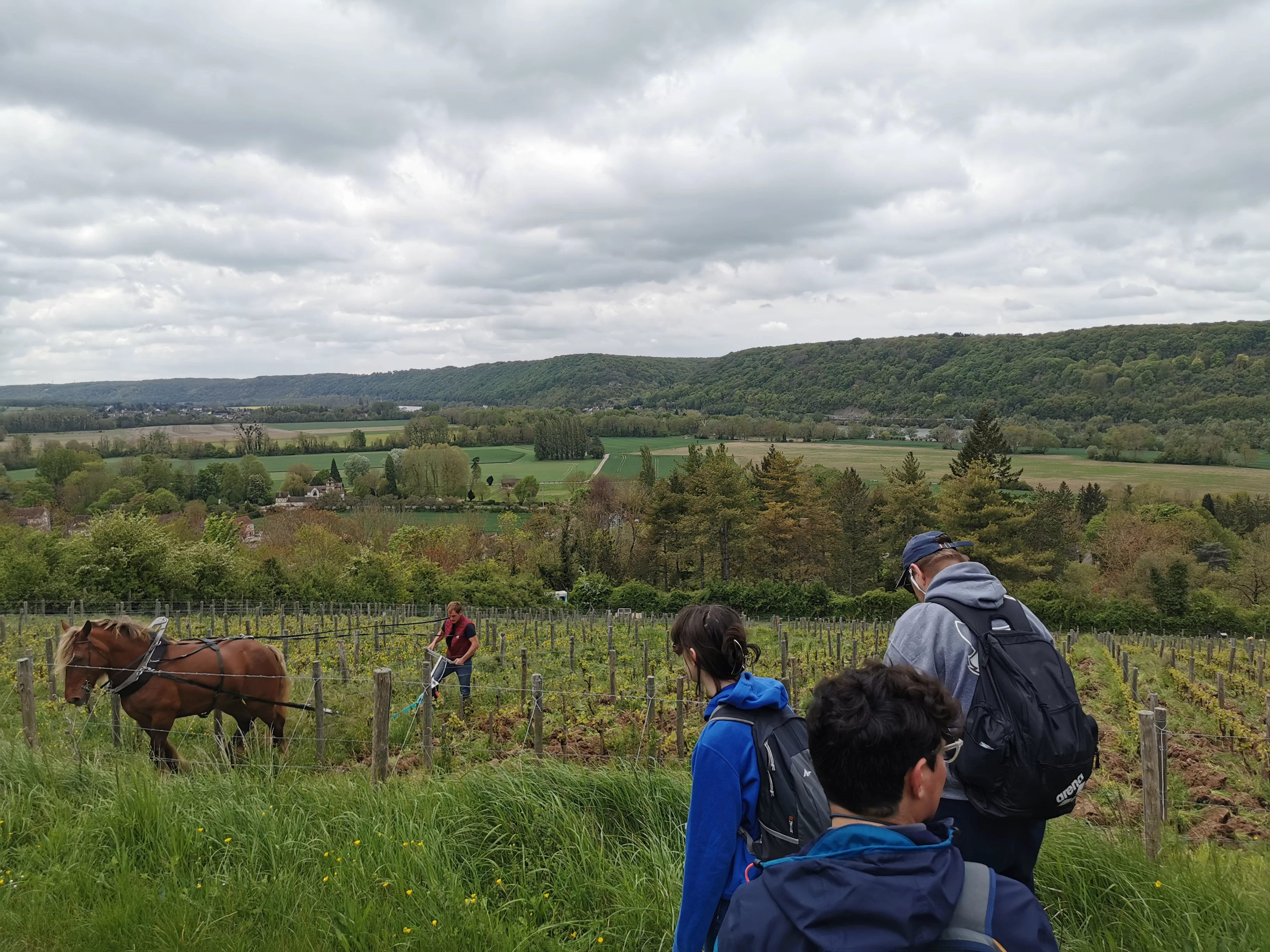 Groupe en rallye nature dans le Vexin