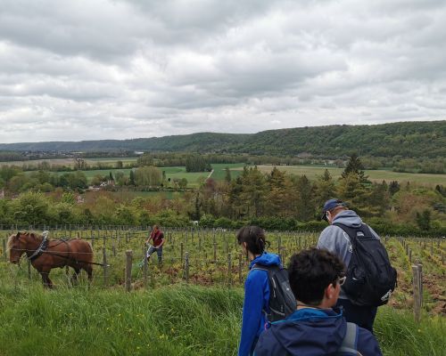 Groupe en activit&eacute; outdoor team building dans le Vexin