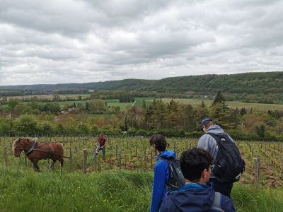 Rallye nature et randonn&eacute;e pour classe verte dans le Vexin